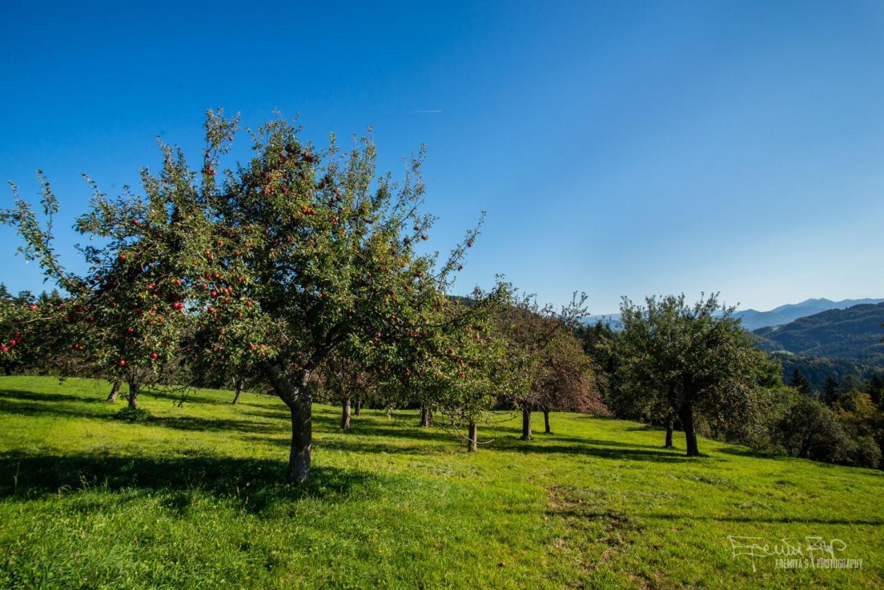 Apartma Lesjak - Pobeg V Naravo Mozirje Exterior foto